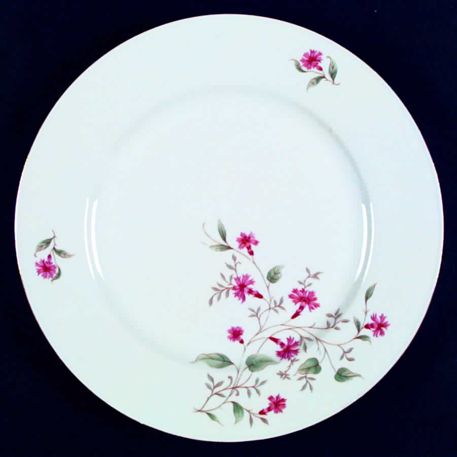 P861 Dinner Plate by Eschenbach-1