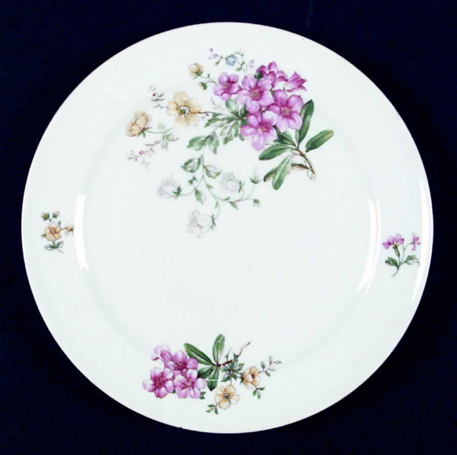 ESC58 Salad Plate by Eschenbach-1