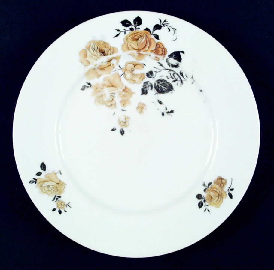 EDE17 Dinner Plate by Edelstein-1