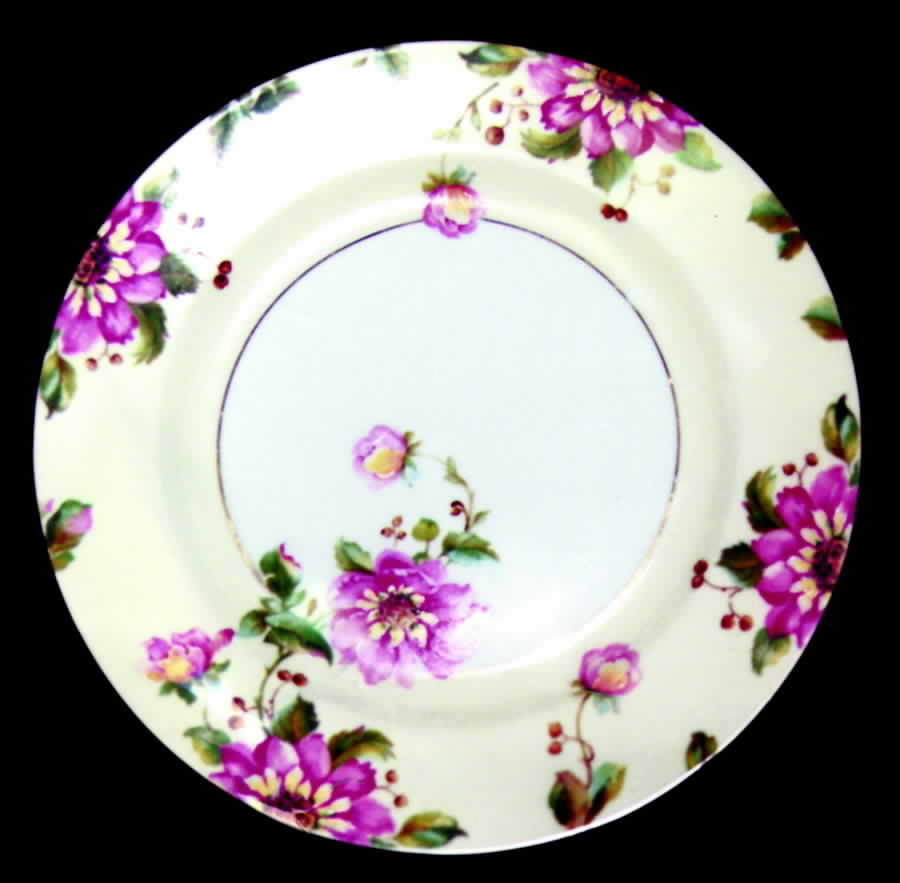 EPI106 Dinner Plate by Epiag-1