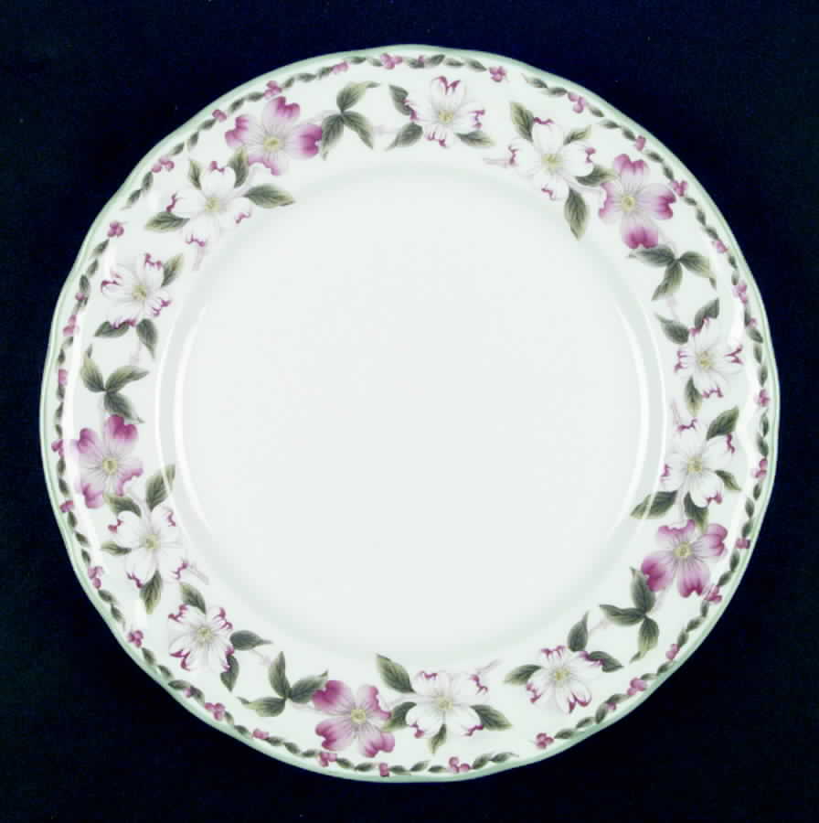 Springdale Dinner Plate by Epoch-1