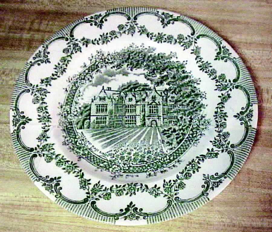 EIT8 Green Dinner Plate by English Ironstone Tableware-1