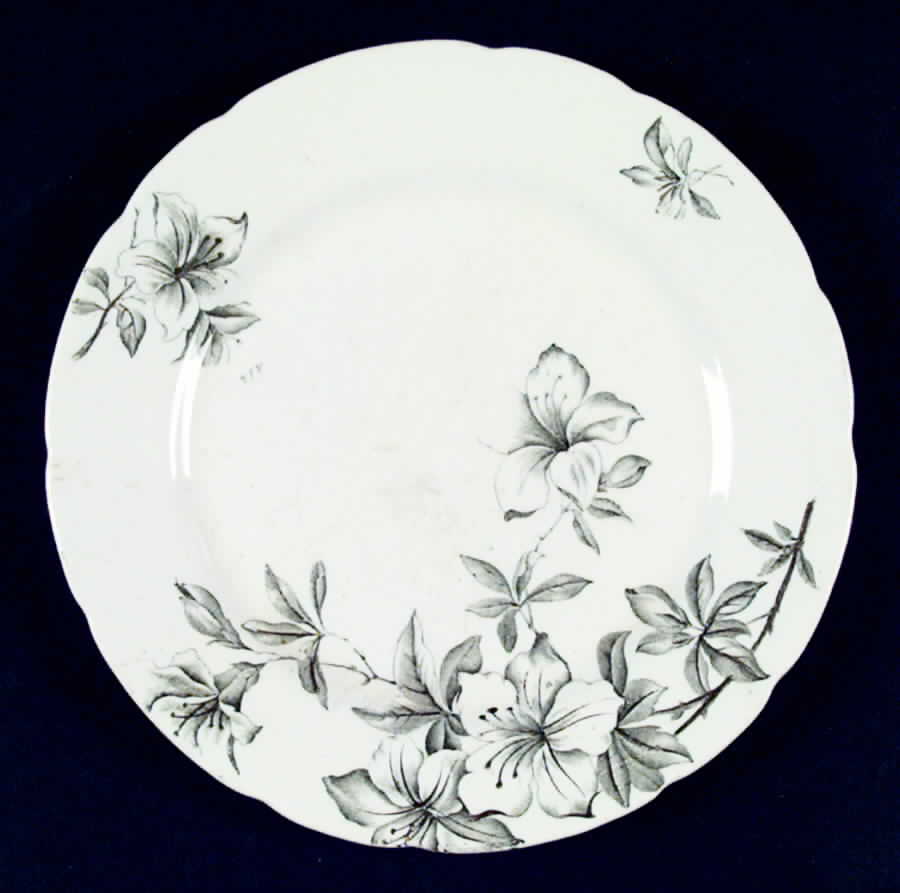 Azalea Green Luncheon Plate by John Edwards-1