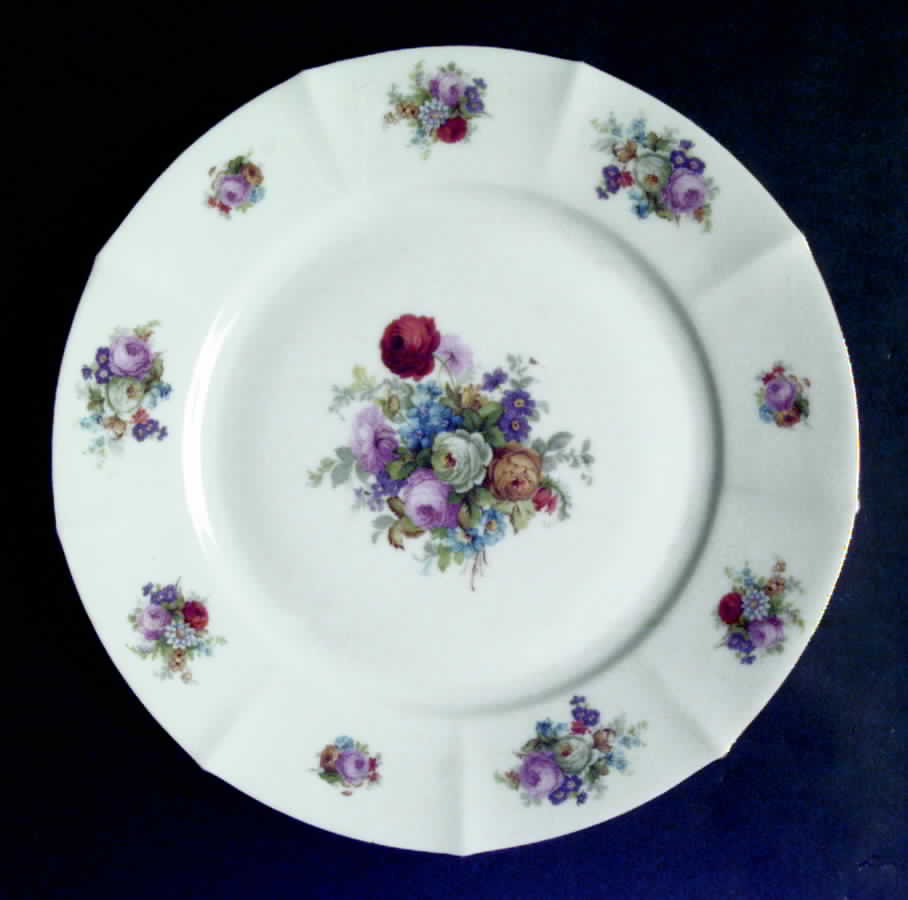 EAM22 Dinner Plate by E & A Muller-1