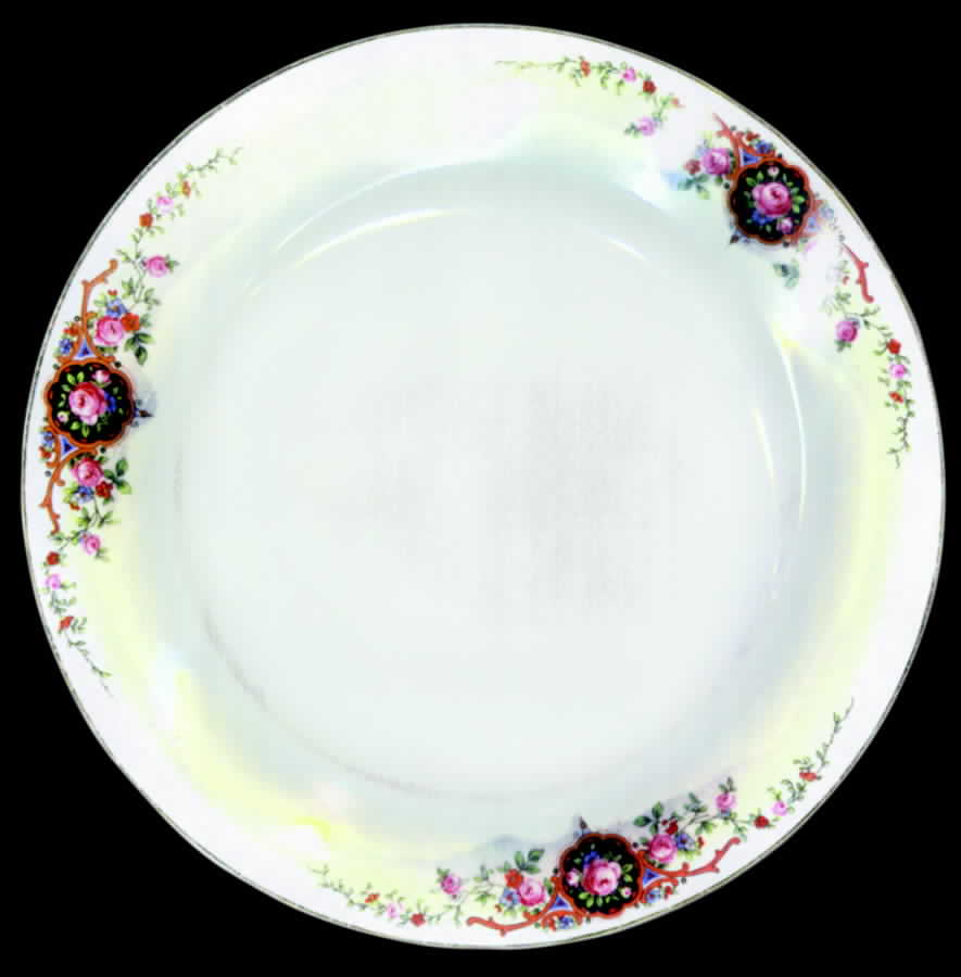 EPI204 Dinner Plate by Epiag-1