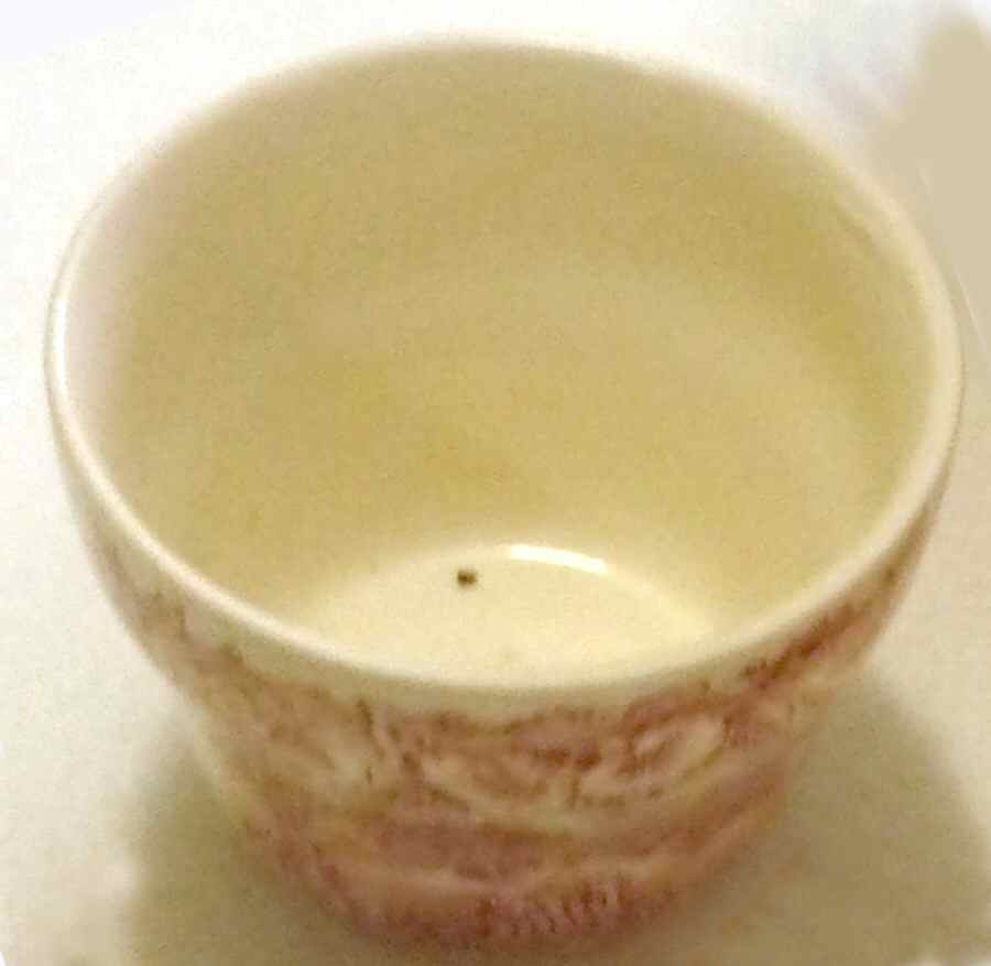 EIT18 Open Sugar Bowl by English Ironstone Tableware-1