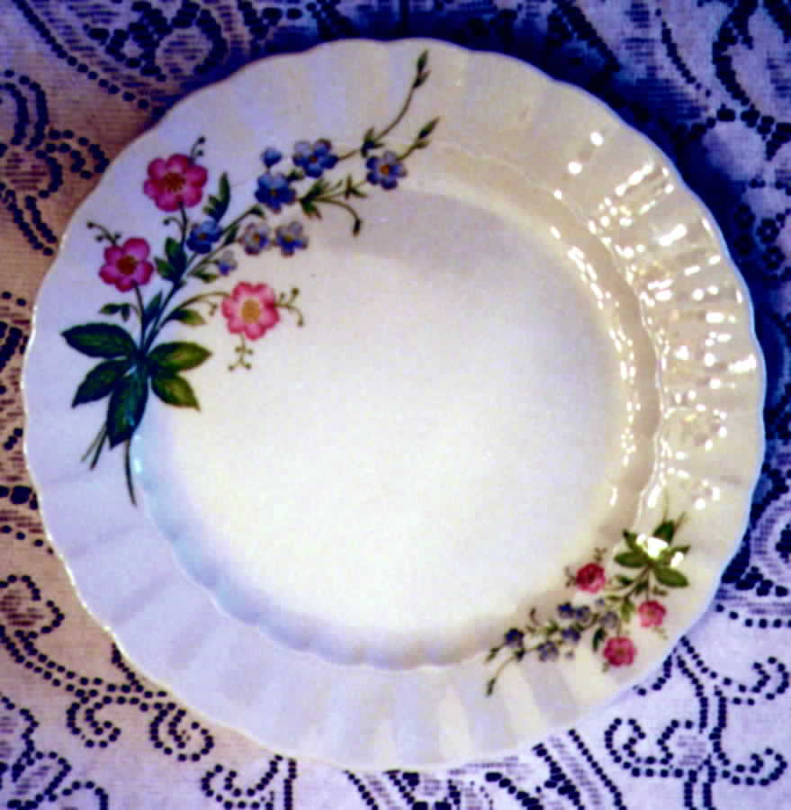ESC61 Dinner Plate by Eschenbach-1