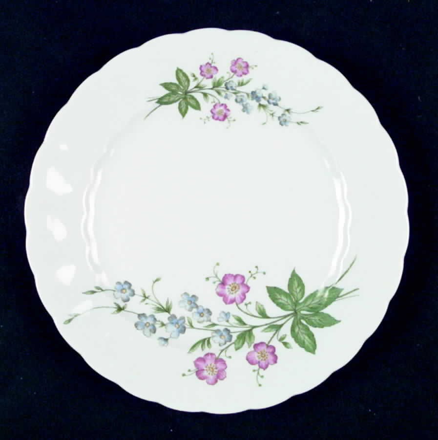 ESC61 Salad Plate by Eschenbach-1