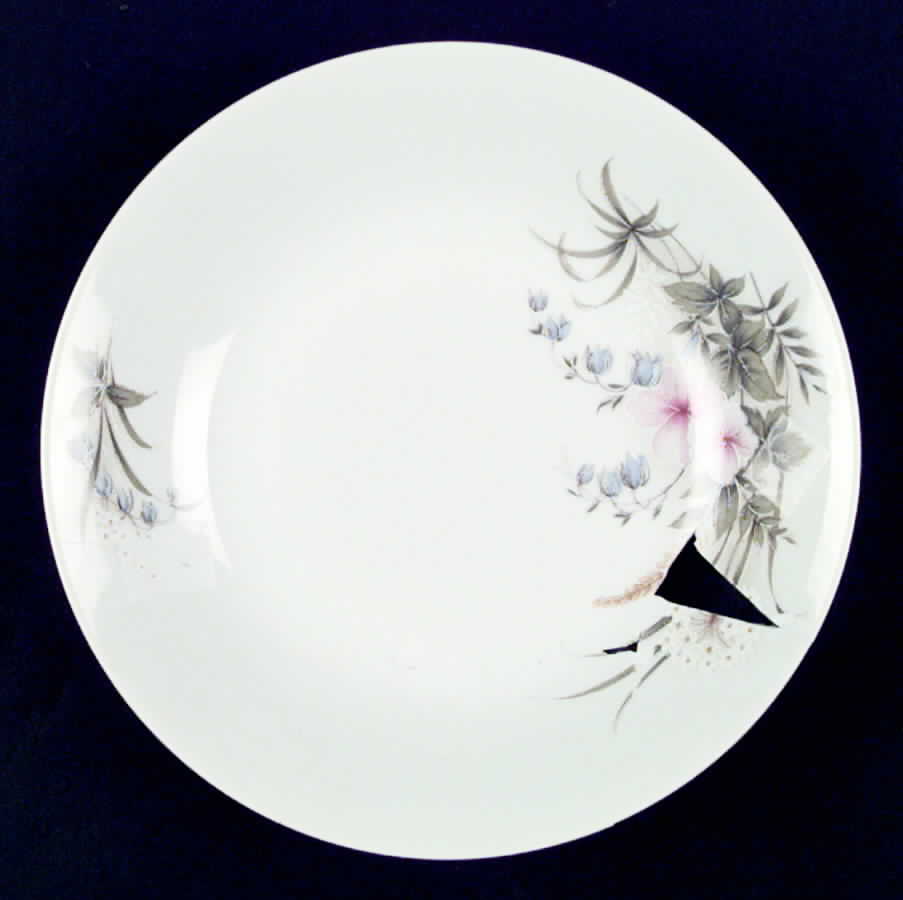 EPI210 Coupe Soup Bowl by Epiag-1