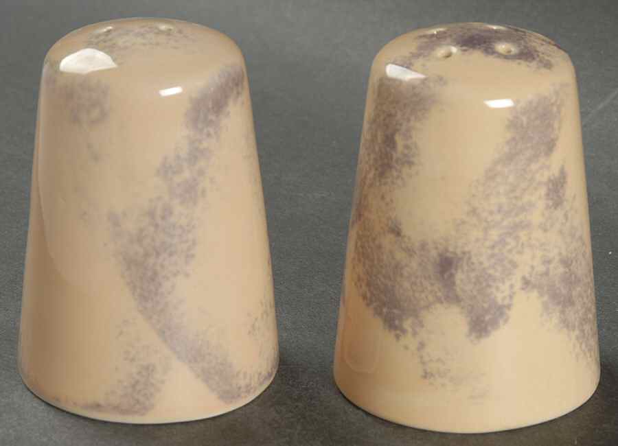 Stonewash Parchment Salt & Pepper Set by Epoch-1