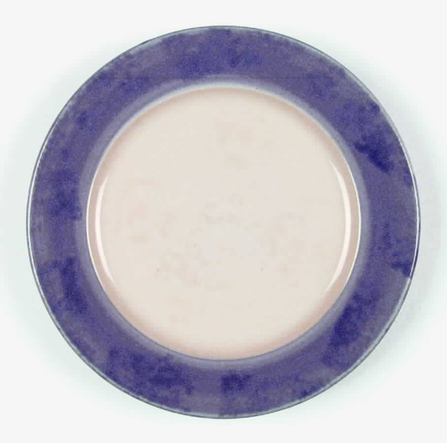 Stonewash Plum Dinner Plate by Epoch-1