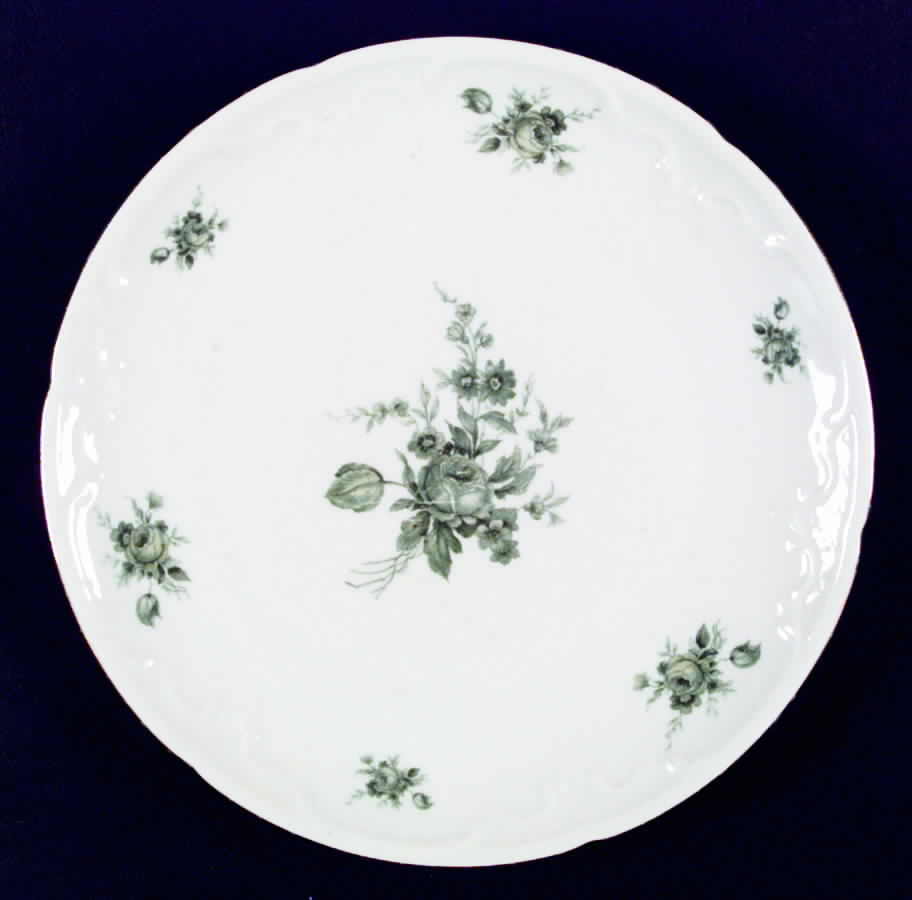 ESC65 Dinner Plate by Eschenbach-1