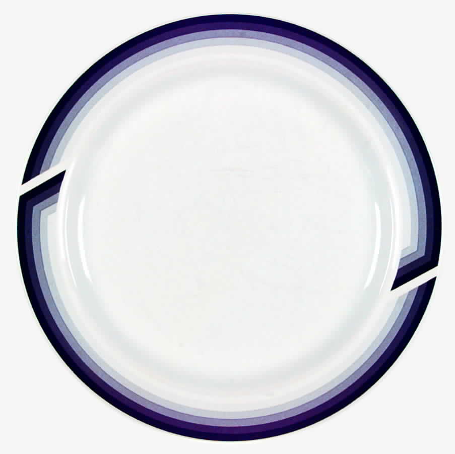 Echoes Dinner Plate by Epoch-1