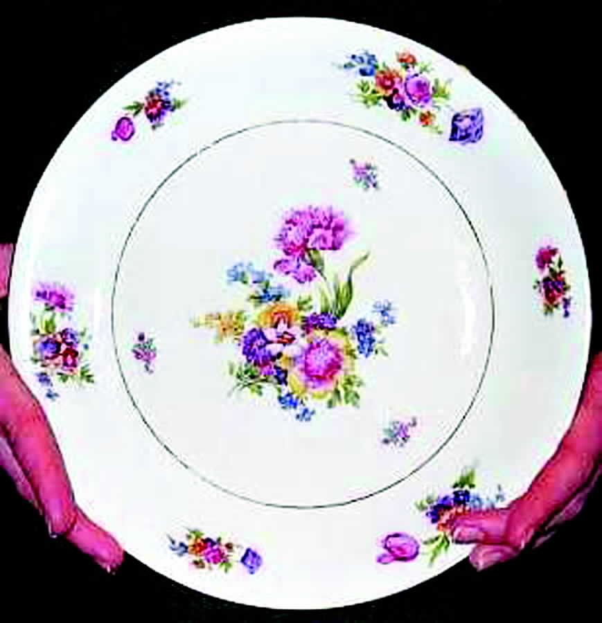 EPI123 Dinner Plate by Epiag-1