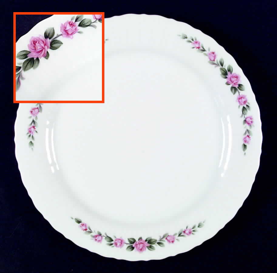 ESC67 Dinner Plate by Eschenbach-1