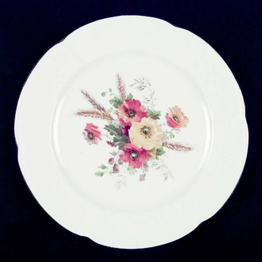 EAN6 Dinner Plate by Eastern China -1