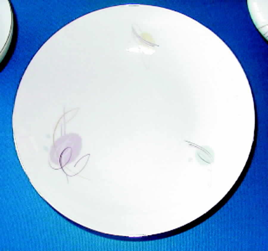 P1370 Dinner Plate by Eschenbach-1