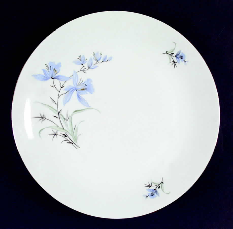 EPI211 Dinner Plate by Epiag-1