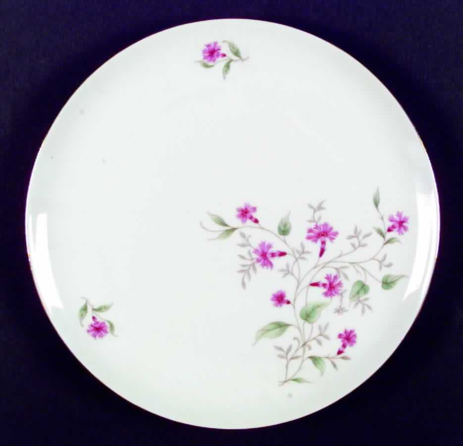 P861c Dinner Plate by Eschenbach-1