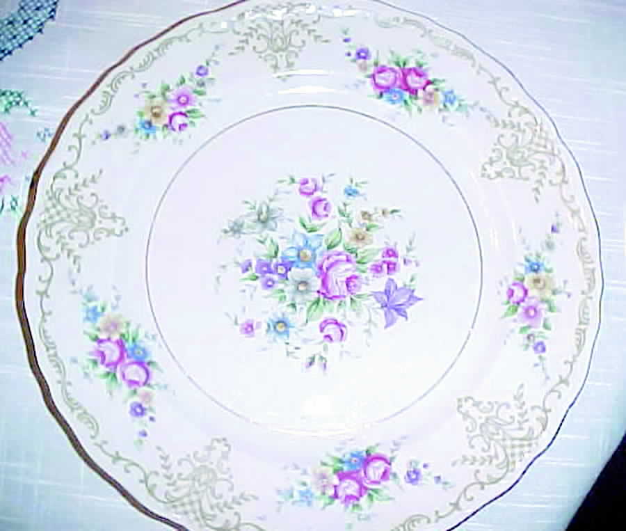 EPI126 Dinner Plate by Epiag-1