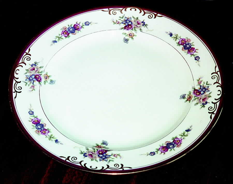 ESC74 Dinner Plate by Eschenbach-1