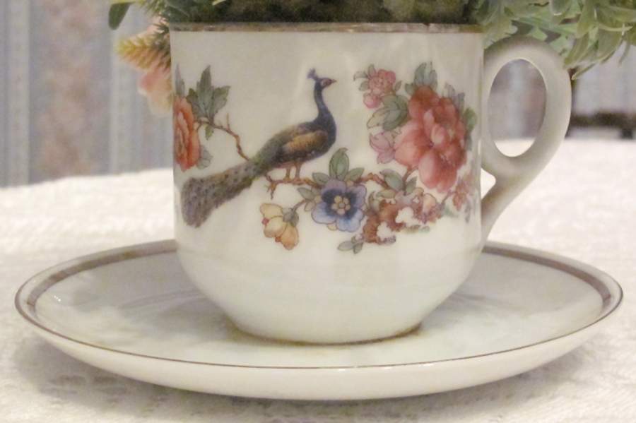 6636-6656 Demitasse Cup & Saucer Set by Epiag-1