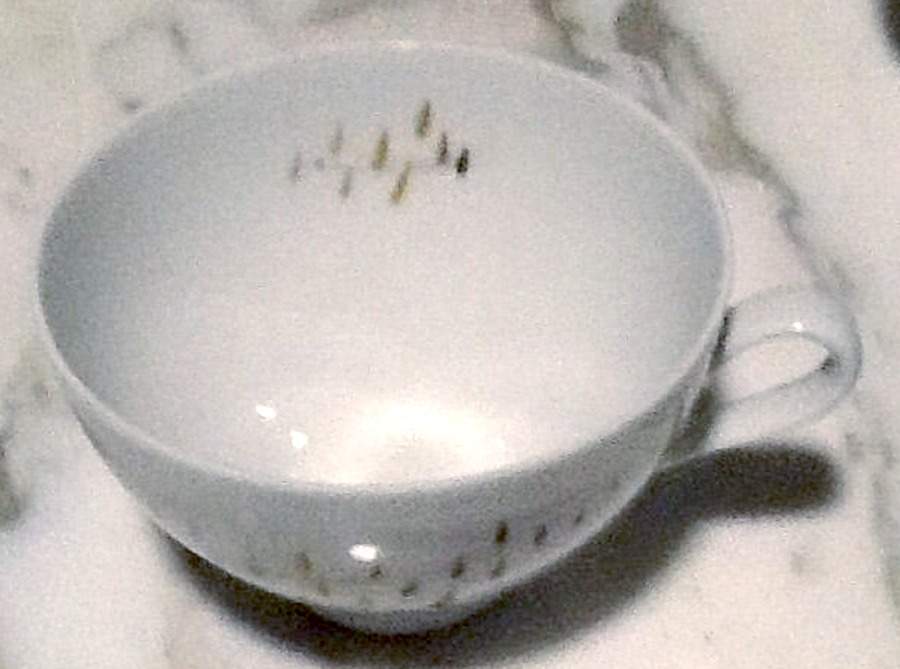 W2515 Flat Cup by Eschenbach-1
