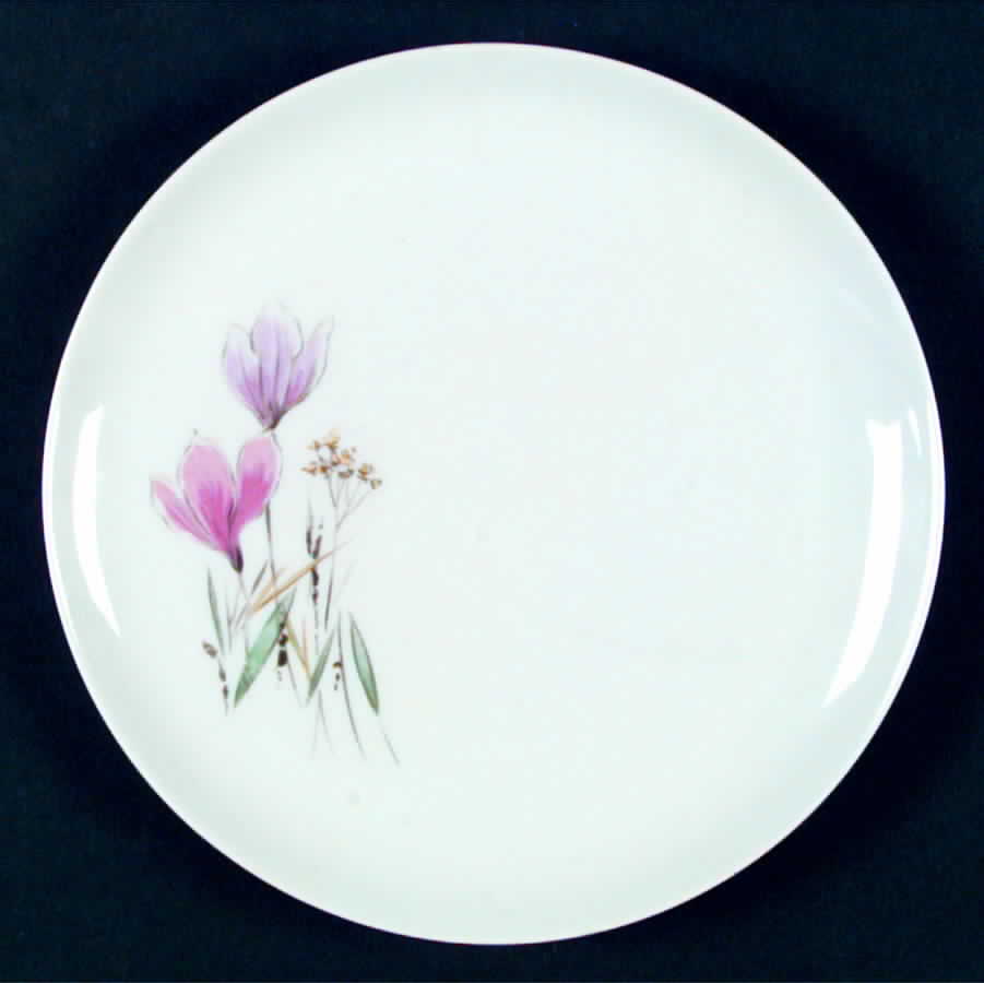 ESC75 Salad Plate by Eschenbach-1