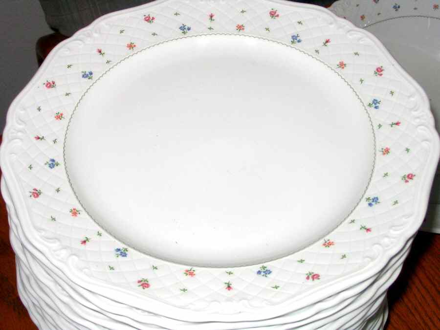 ESC76 Dinner Plate by Eschenbach-1