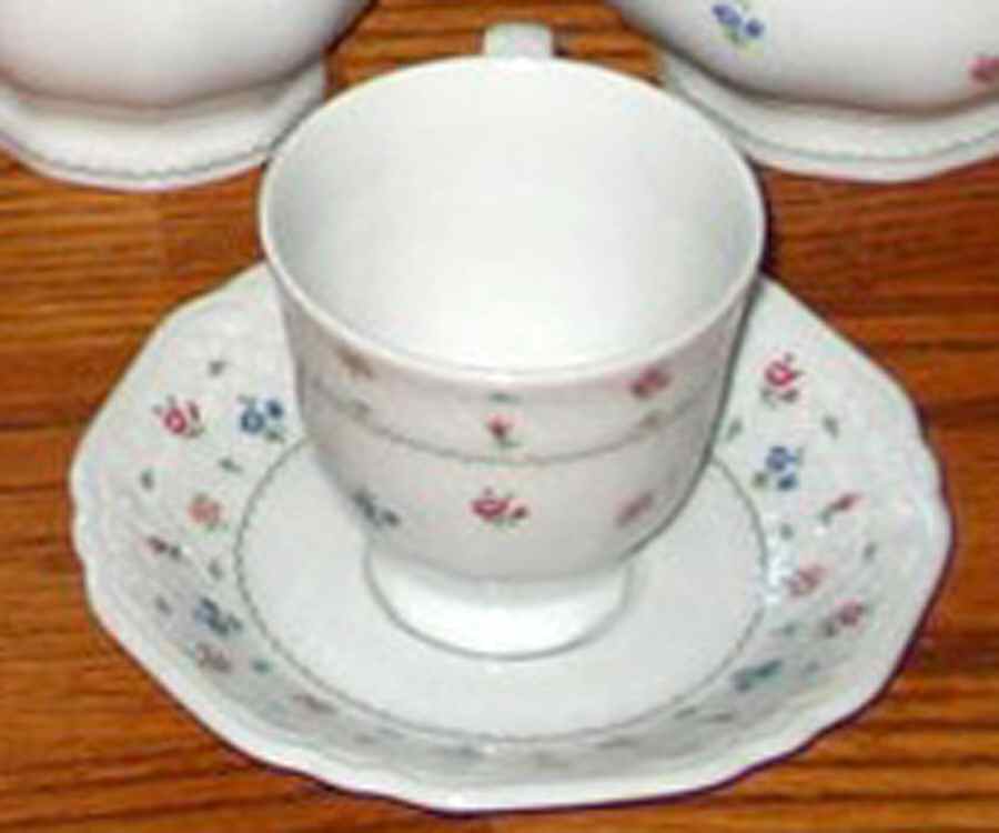 ESC76 Footed Cup & Saucer Set by Eschenbach-1