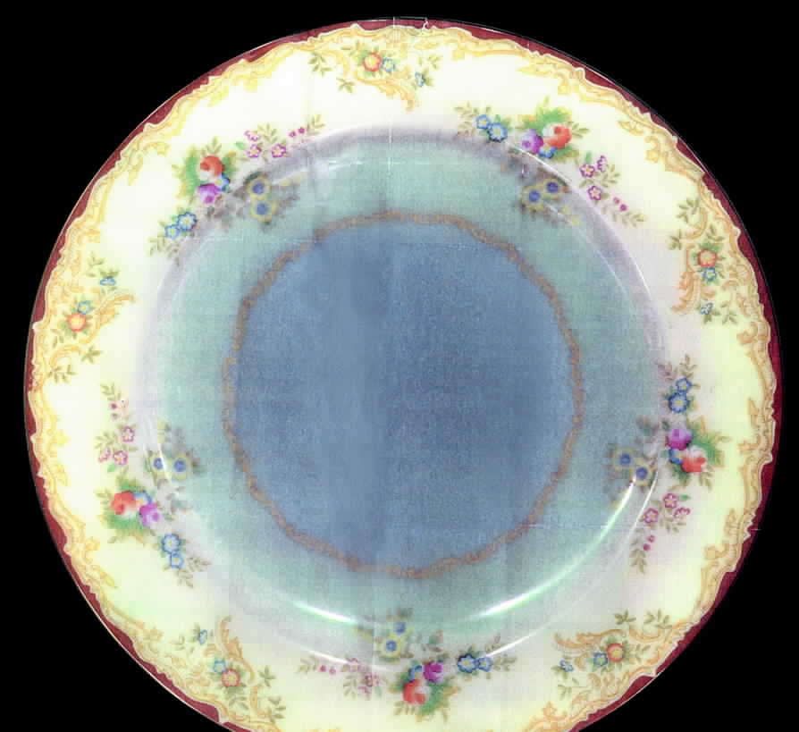 EMJ12 Dinner Plate by Embassy (Japan)-1