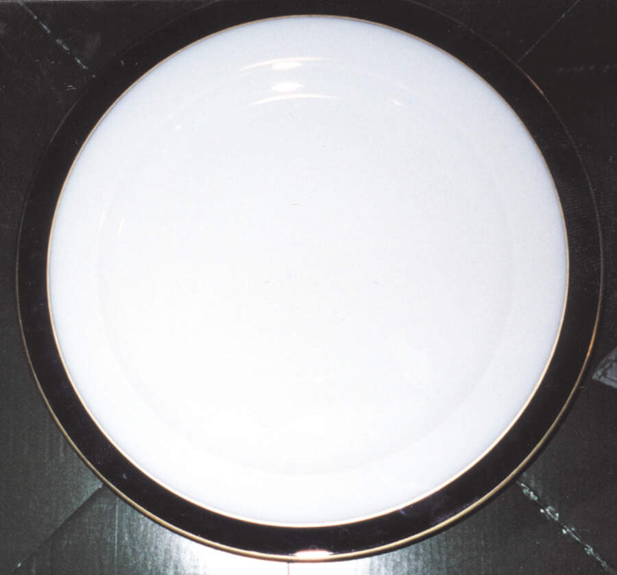 ESC84 Dinner Plate by Eschenbach-1