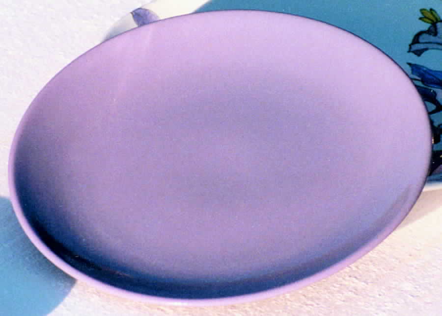 ERN6 Dinner Plate by Ernestine-1