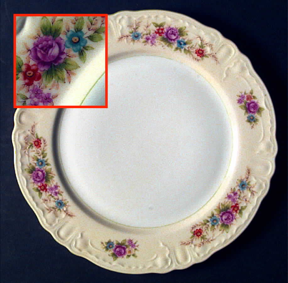EMJ15 Dinner Plate by Embassy (Japan)-1