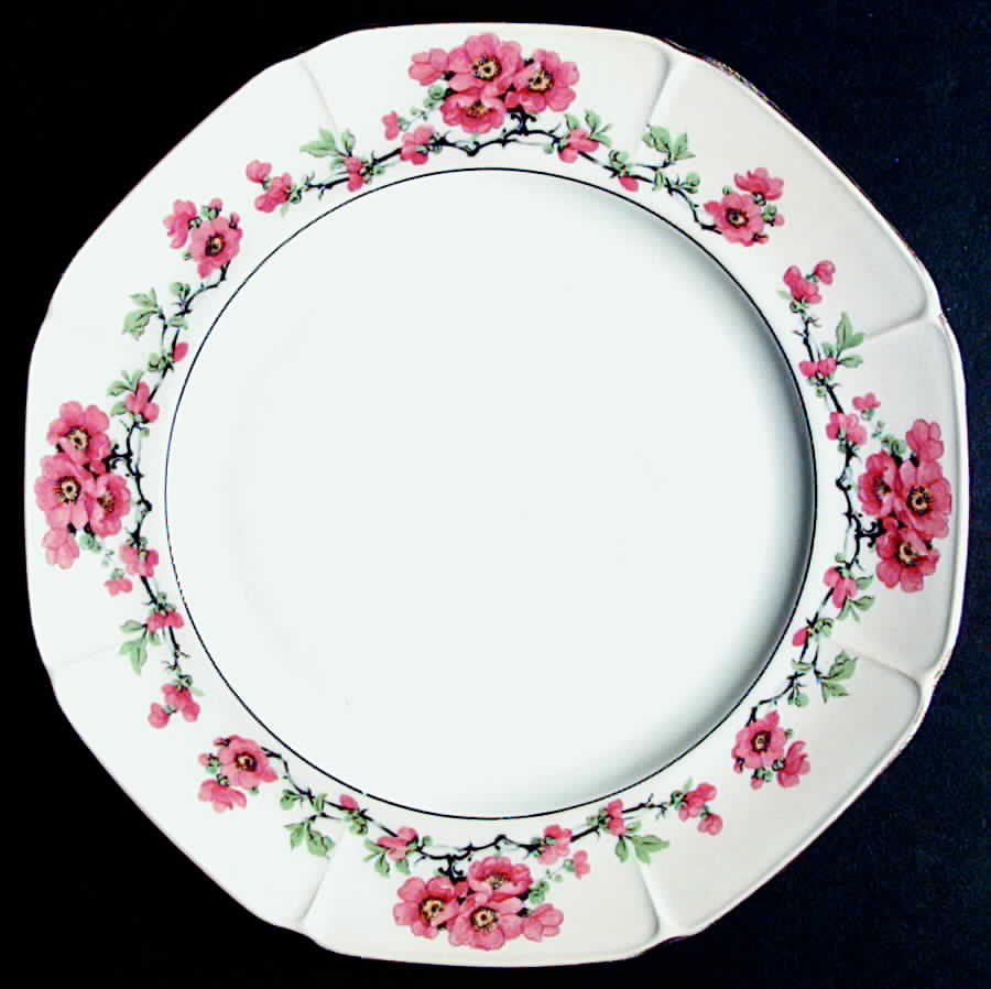EPI135 Dinner Plate by Epiag-1