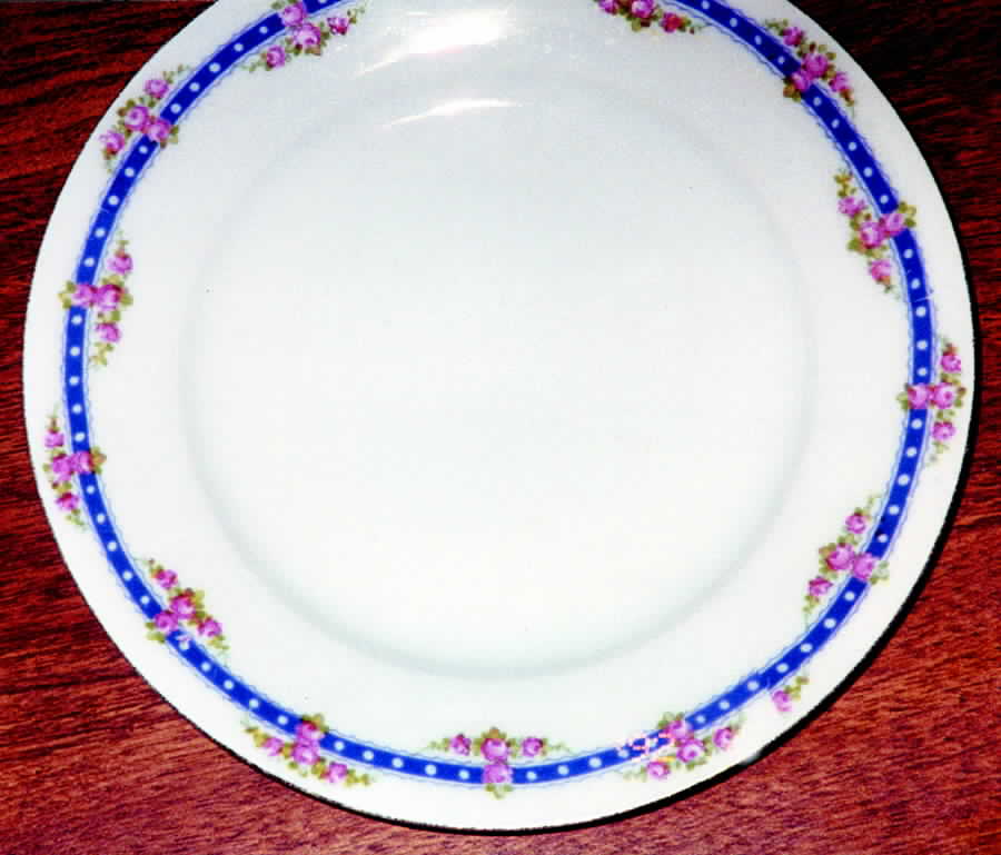 EPI136 Dinner Plate by Epiag-1