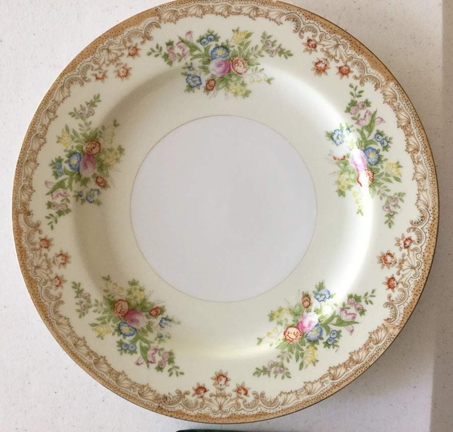 EMJ17 Dinner Plate by Embassy (Japan)-1