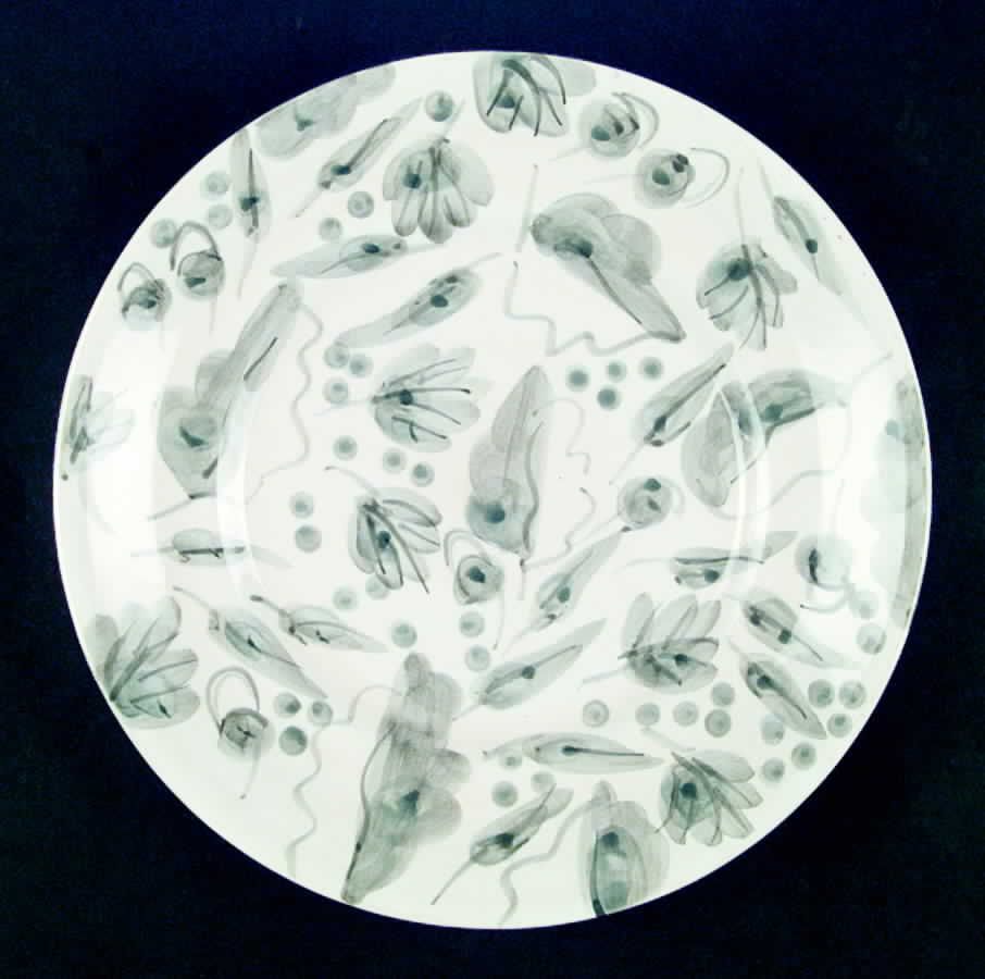 EBA7 Dinner Plate by Eddie Bauer-1