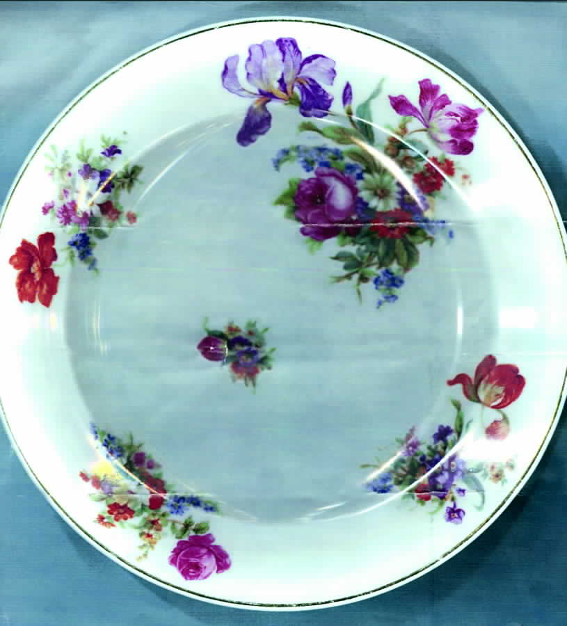 EPI141 Luncheon Plate by Epiag-1