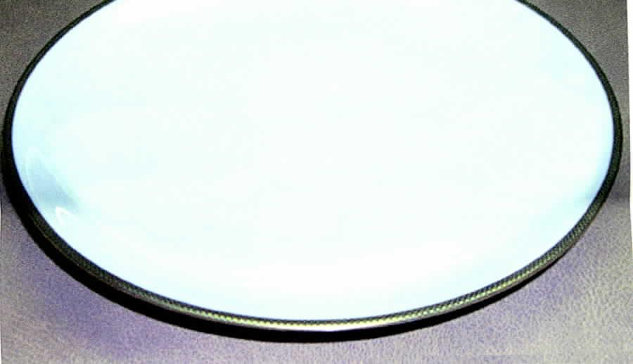 ESC97 Dinner Plate by Eschenbach-1
