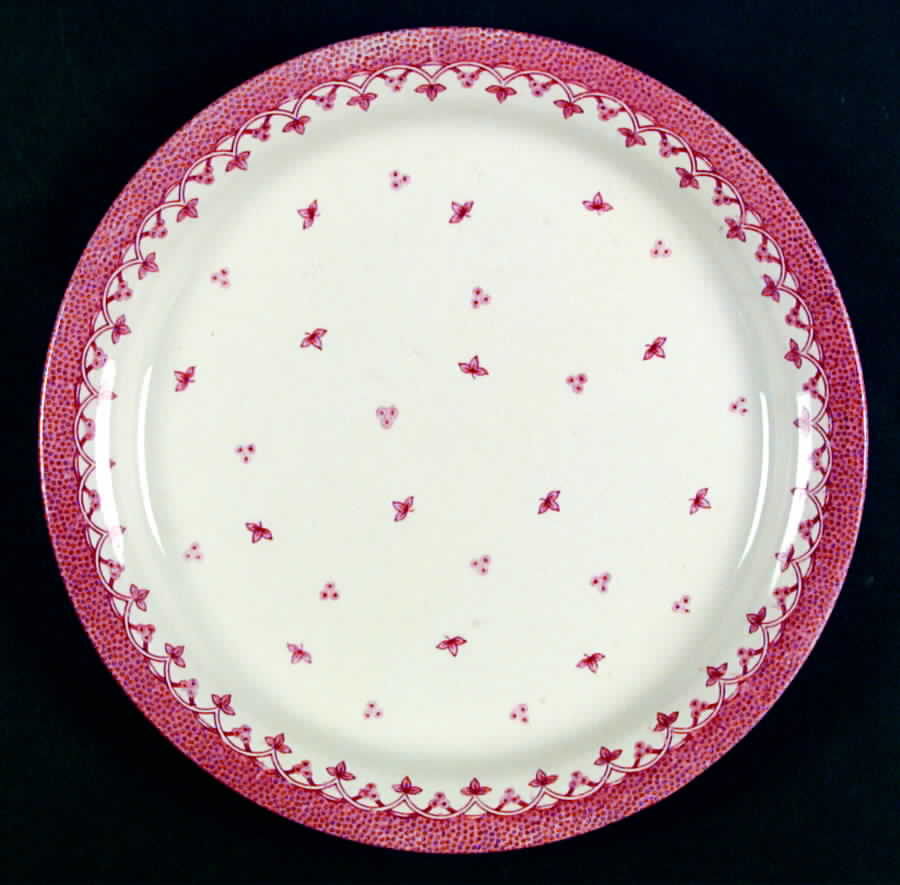 EIT24 Dinner Plate by English Ironstone Tableware-1