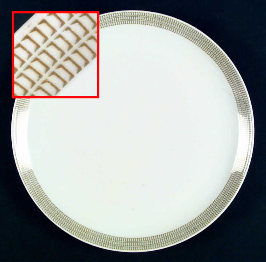 ESC105 Dinner Plate by Eschenbach-1