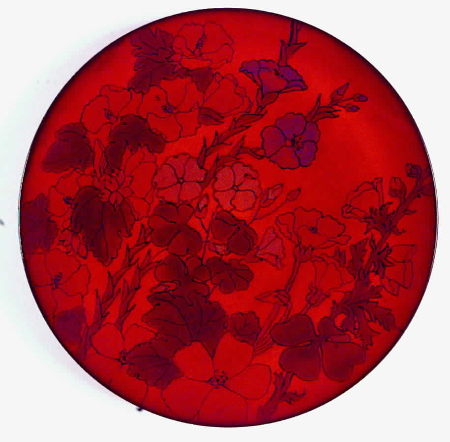 ERN10 Dinner Plate by Ernestine-1