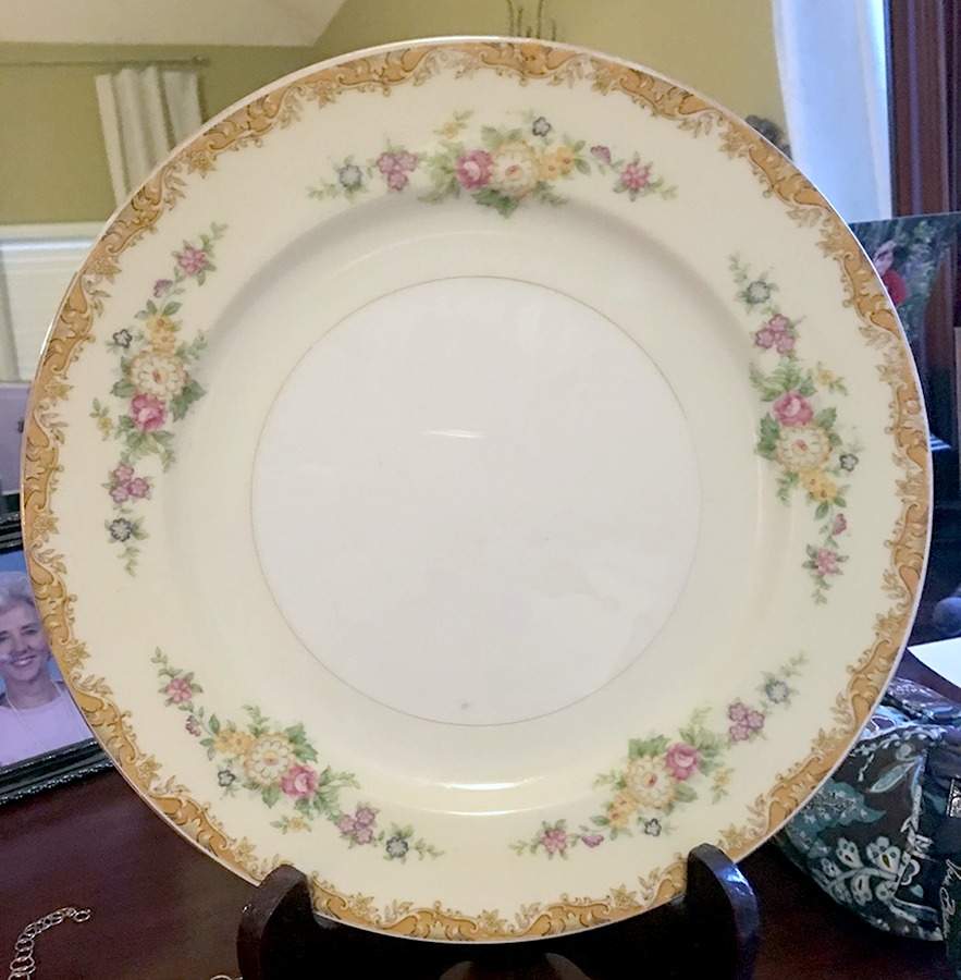 ESO17 Dinner Plate by ESCO (Japan)-1