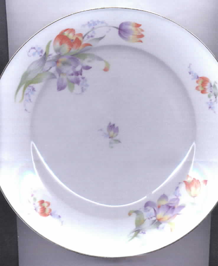 EPI235 Dinner Plate by Epiag-1