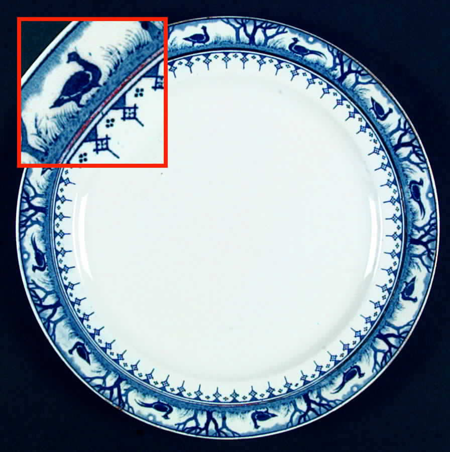 Birchwood Dinner Plate by England-1