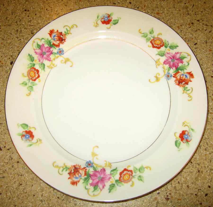 ESC118 Dinner Plate by Eschenbach-1
