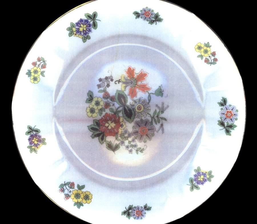 EAM34 Dinner Plate by E & A Muller-1