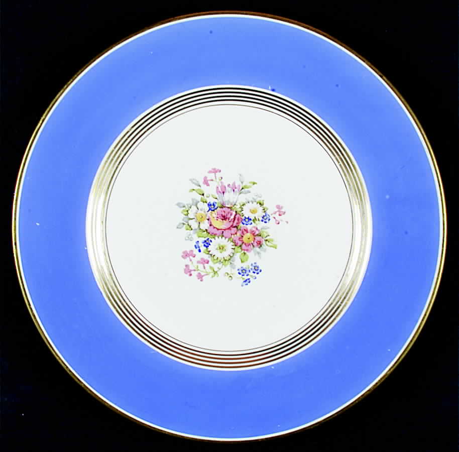 ENG28 Dinner Plate by England-1