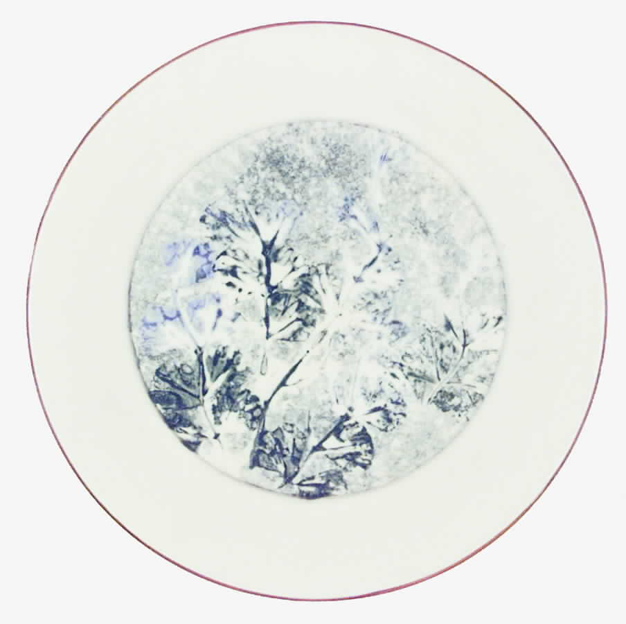 ELV3 Salad Plate by Ellen Evans-1